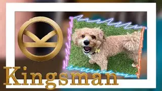 HILARIOUS KINGSMAN PARODY!