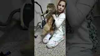 Коты и дети