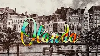 shoika - olanda