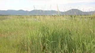 Sprostitev ob Cerkniškem jezeru III