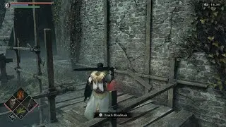 Demon's Souls Executioner Miralda Mini Boss Fight