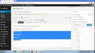 How To Create Your First Blog Post - Wordpress Tutorial
