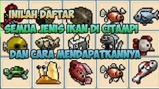 CITAMPI STORIES || DAFTAR IKAN DI CITAMPI DAN CARA MENDAPATKANNYA