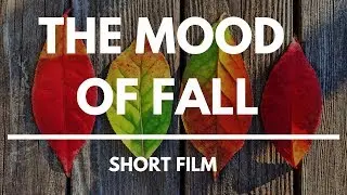 The Mood Of Fall - Short Movie