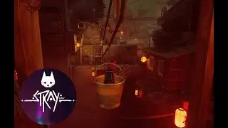 Stray | Rooftops PS5 Gameplay