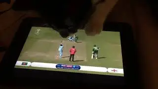Cute Cat Stories - It’s so cute he loves cricket!