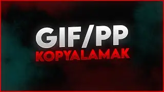 Discord Gif/PP Çalmak Kopyalamak 3 Yöntem