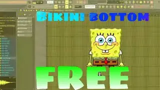SPONGEBOB FL THEMES *NEW*?!
