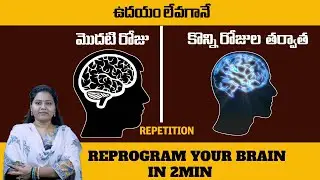 REPROGRAM YOUR BRAIN FOR SUCCESS IN 2MIN || BY MERRY || OURDREAM 8888