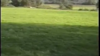 Schlüter Comeback   RC Helicopter  Funkferngesteuer Modellhubschrauber