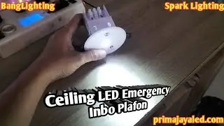 Ceiling LED Emergency Inbo Plafon