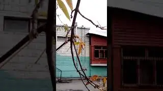 Дети взламывают замок на 12калибре