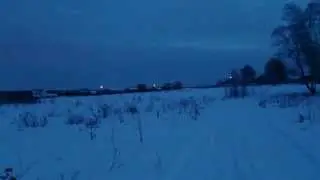 Косули
