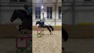 Первый метр кобылы🎉👏🏼 