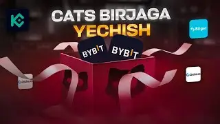 CATS BIRJAGA YECHISH // MONEY MINER