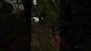 True Stalker ➨ Полное прохождение игры на канале!) ➨ Заходи! ➨