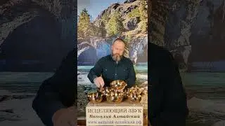 Сеанс для укрепления Иммунитета вашего организма. Смотрите сеанс до конца. Инф под видео.