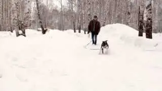 Макс на прогулке 2015.01.08 p2 00623