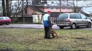 Tüüp siia seljatagant
