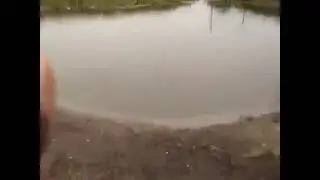 Заебись вода