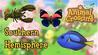 ALL New Southern Hemisphere Fish, Bugs, and Sea Creatures in October! Animal Crossing New Horizons!