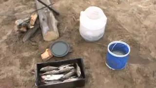 утро на Цыпикане