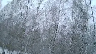 AW016 RUS