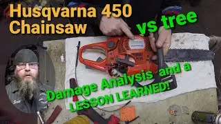 Husqvarna 450 Chainsaw Vs Tree