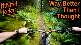 I Got Ae Forest All Wrong, It's Actually Really Good!
