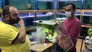 DISCUS TANKIMA SUMP YAPIYORUM-BÖLÜM  1