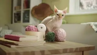 WDS  TVC 2
