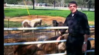 Why-ZEITGEIST, Evolution is Stupid.avi