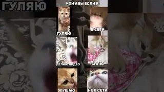 Мои авы если я:
