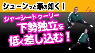 テクニック！苦手なんて言わせない【太極拳解説】カッコよく下勢独立を低く差し込む！疑問？コツをわかりやすく解説。初心者からベテランまで誰でも気軽にできる中村げんこうの太極拳、太極拳がもっと楽しくなる！