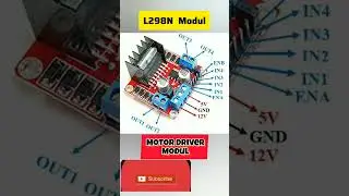 L298N Motor Driver Modul pinout 