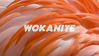 Flamingo (Latin Lounge Pop Instrumental)