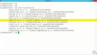 37   Viewing Shared Library Modules