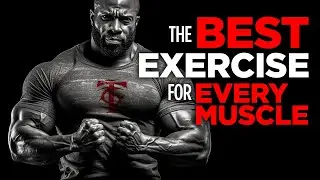 The Best Exercise for Every Muscle