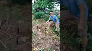 Ambil hasil
