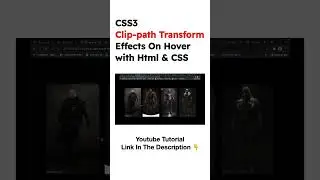 CSS3 Clip-path Transform Effects On Hover with Html And  CSS | Web Design | Speed Code