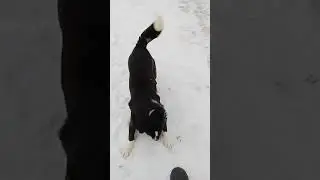 мороз и солнце день 💕😍