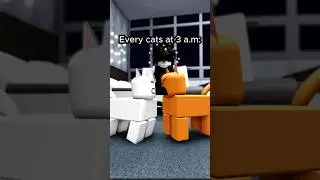 every cats at 3am roblox animation 