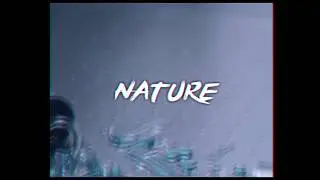 LetoWubz - Nature [Teaser]