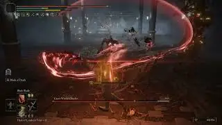 Grave Warden Duelist | NG+ | 4 hits kill | No damage | Black Knife +9