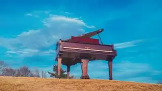 Albatross - the Suite - Chad D. Austin.