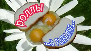 РОЛЛЫ. Игорь Беловинцев о рыбалке.