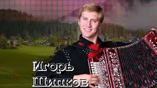 Сольный концерт  народного гармониста России Игоря Шипкова