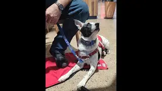 Astro With Penny at Bunnings