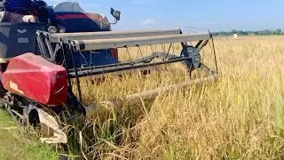 YANMAR YH 850 Mobil Passangki#451