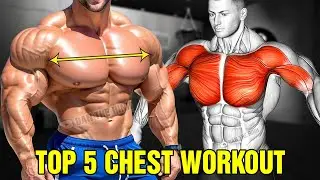 The Best Chest Workout Guide To Build A Massive Pec